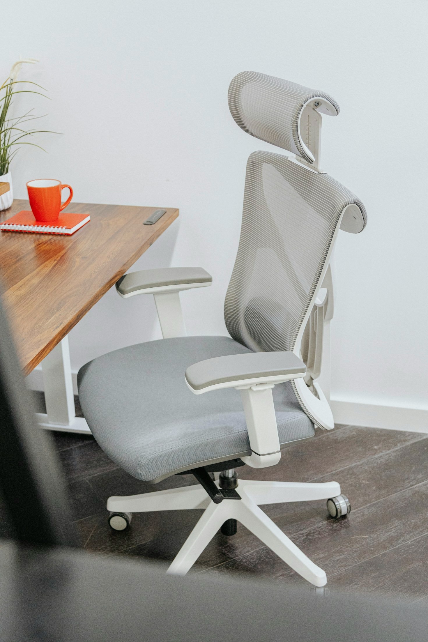 The Science Behind Ergonomic Design in Seating